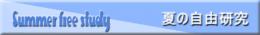 夏の自由研究